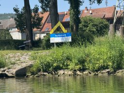 Mainschwimmen Juni 2026